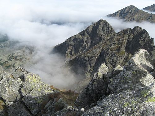 widoczek