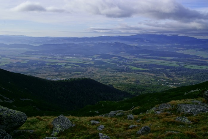 widoczek