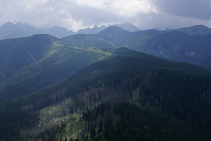 Tatry z Nosala