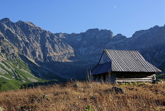 Hala Gąsienicowa