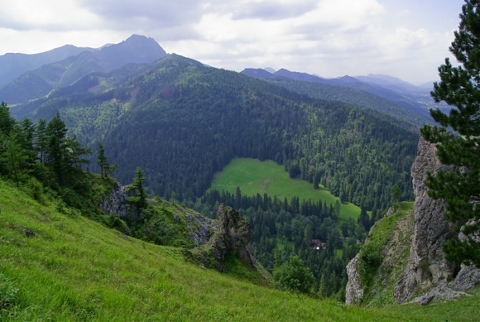 nosalowe widoki