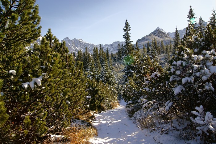 Tatry