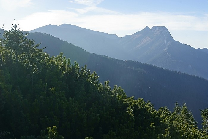 w drodze do Kuźnic