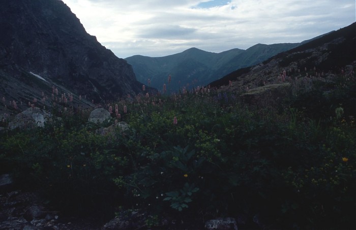 Tatry