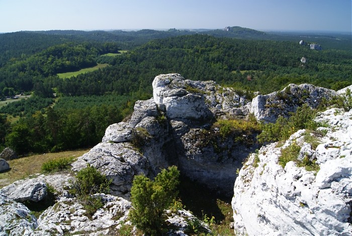 Zborów