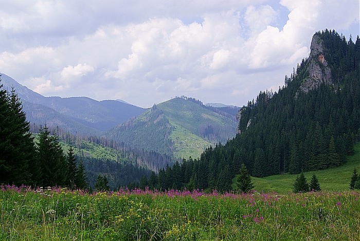 Przysłop Miętusi