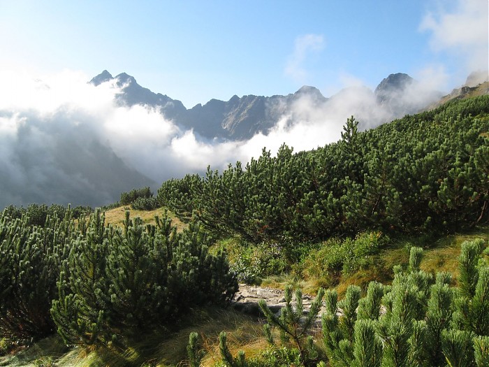 Tatry
